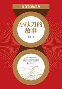 轻狂傲妃