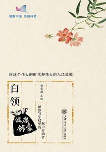 另类航海：山贼王我当定了