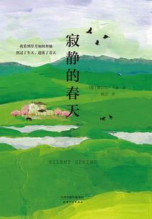 你的话我都听