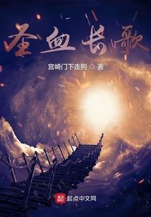 神圣之美食风暴