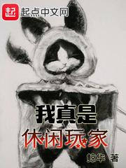 宠物小精灵之未来之路