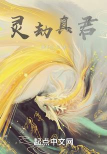 无爱不欢之木槿花开