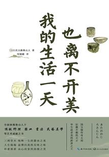 玉钗缘之这个丫鬟不简单