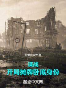 崩坏都市