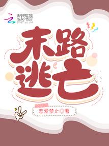 海贼王之傀儡师