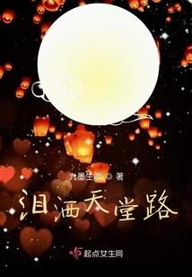 姑苏夜归人