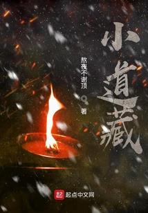 妖孽皇上：皇后很纨绔