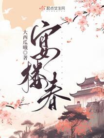 风岚雾隐