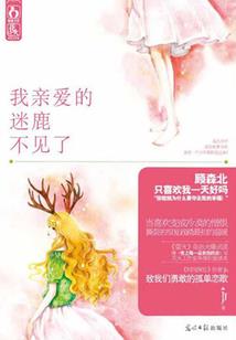 风行幻世之风起天元