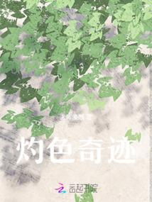 驭气大陆之剑神再生