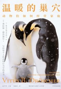 轮回情劫录