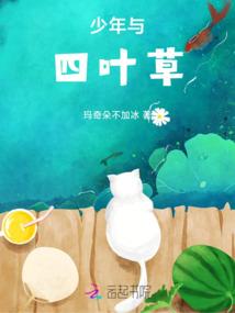 藏宇之门