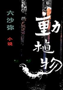 误我浮生