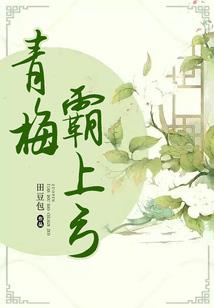 四轮载具与岁月载体