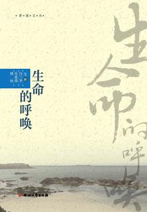 瓜皮修道之路