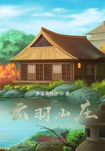 穿越武侠：从征服王语嫣开始