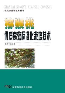 轻狂的年少