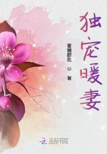 你是我命运中的流星