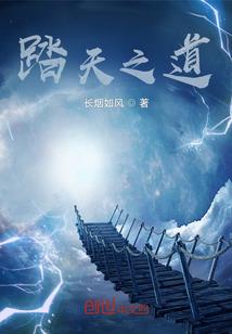 宠物小精灵之王者之心