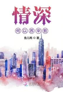 一生梦，一人情
