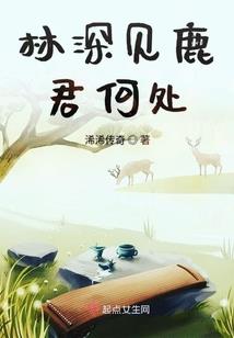 窥穿心扉