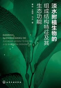传奇大佬的崛起