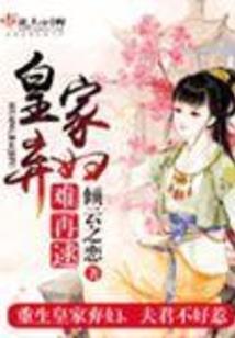 机械女武神