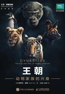 无上神话系统