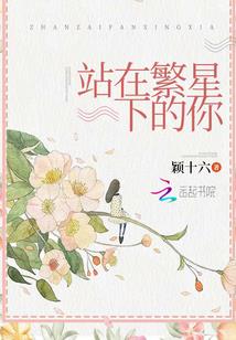 你是陨落尘埃的烟火