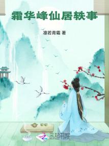 如此神探