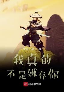 凤盗天下：男神打包带走