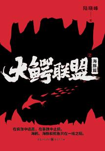 长恨未有央
