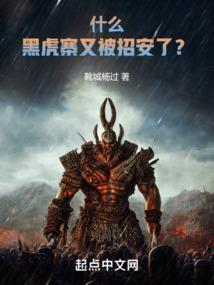 韩娱之星医