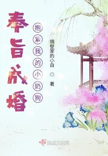 龙之谷同人—屠龙战士五小强