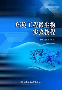 殇雪落