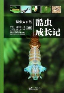 穿成寡妇之战死的夫君回来了