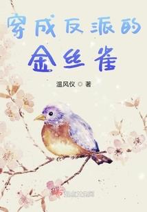 权游：我加载了猎魔人系统