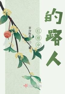 再次相遇的爱