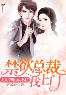 道君传