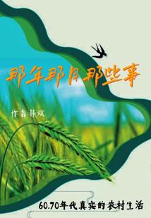 风和日丽的下午