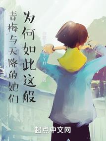 只有一章的故事
