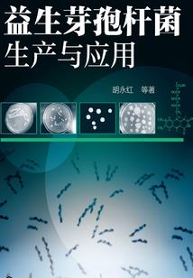 神级战斗大师