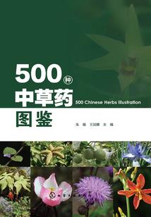 龙傲天皇