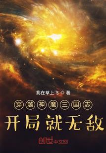 航海王之剑豪诺奇