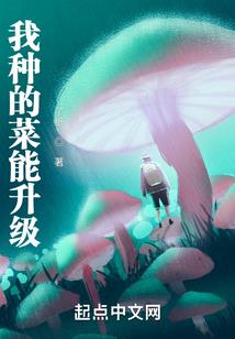 秦岭迷途