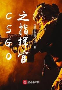 某魔法世界中的科技怪