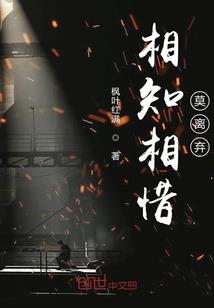 华夏先锋队