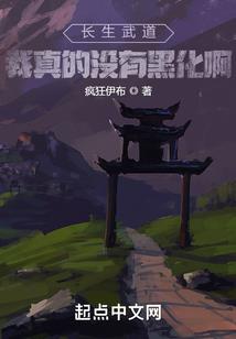陨星之路