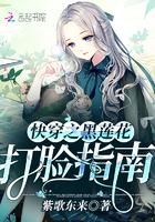 北刀捭阖录