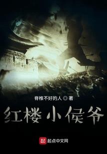 恶少传奇